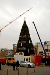 Baum schmücken