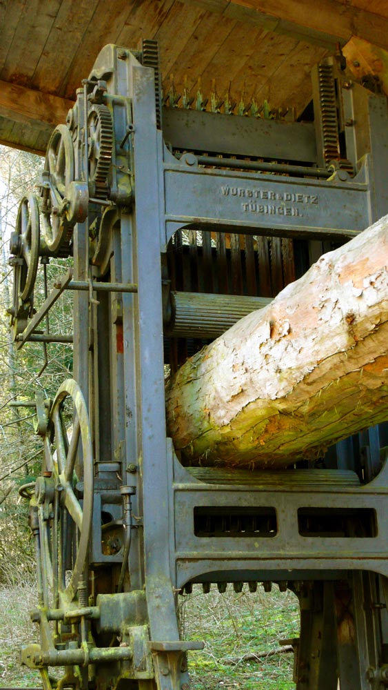 Baum-Schneide-Maschine in der Ravennaschlucht bei Freiburg