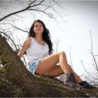 Baum-Shooting