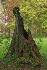 Baum-Skulptur