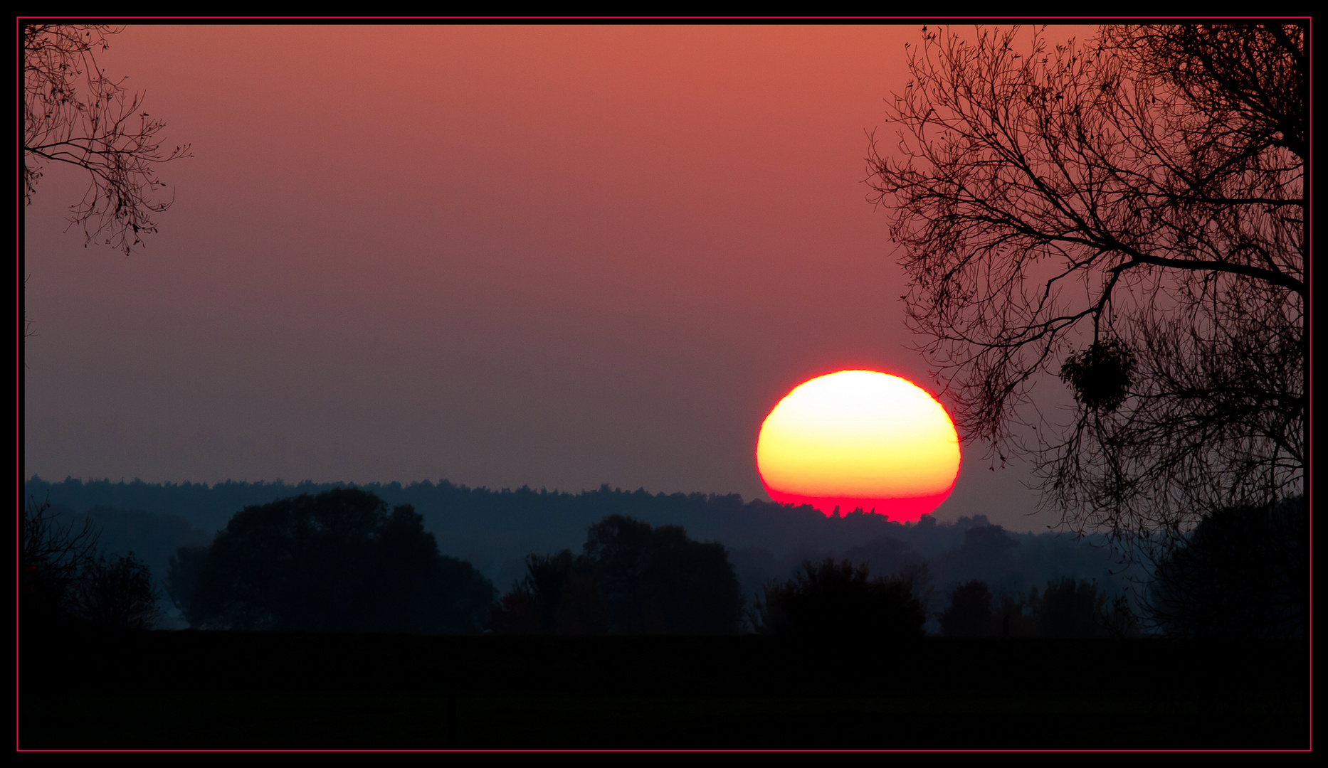 Baum + Sonne + Abend