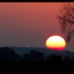 Baum + Sonne + Abend