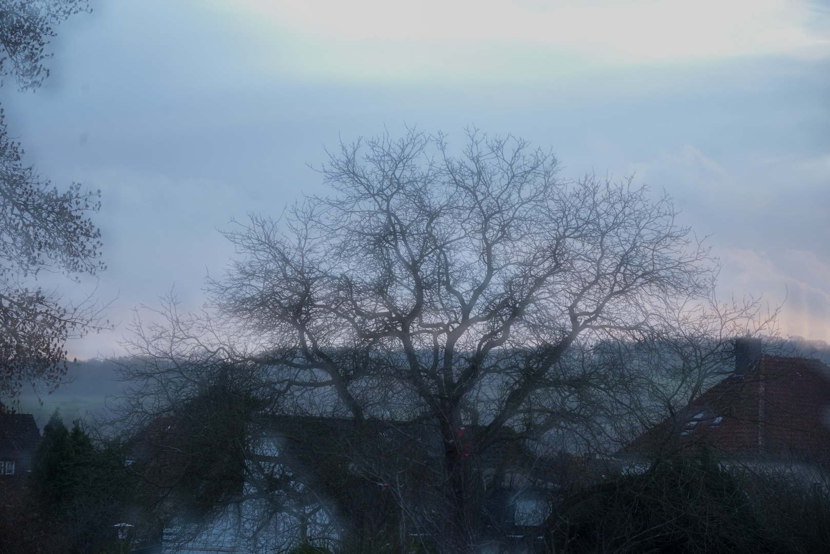 Baum Sonnenuntergang aus dem Fenster