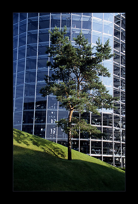 Baum + Stahl + Glas + Beton