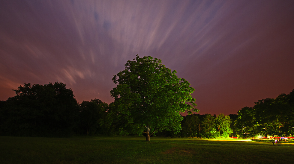 Baum, Stativ und Geist...