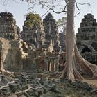 Baum Tempel Angkor Camb P20-20-col +1Foto Pagan +TEXT Anghor April20 +