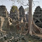 Baum Tempel Angkor Camb P20-20-col +1Foto Pagan +TEXT Anghor April20 +