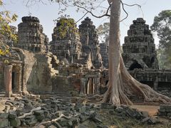 Baum Tempel Angkor Camb P20-20-col +1Foto Pagan +TEXT Anghor April20 +