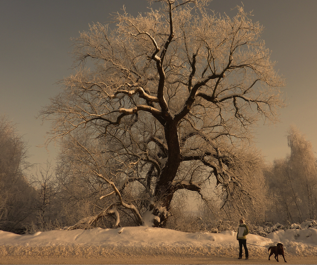 baum - tochter- hund