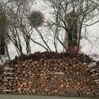 Baum-TOT, aber sehr ordentlich, richtig schwäbisch