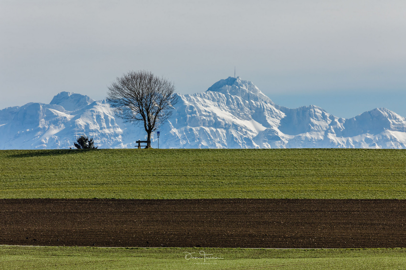 Baum trifft Berg