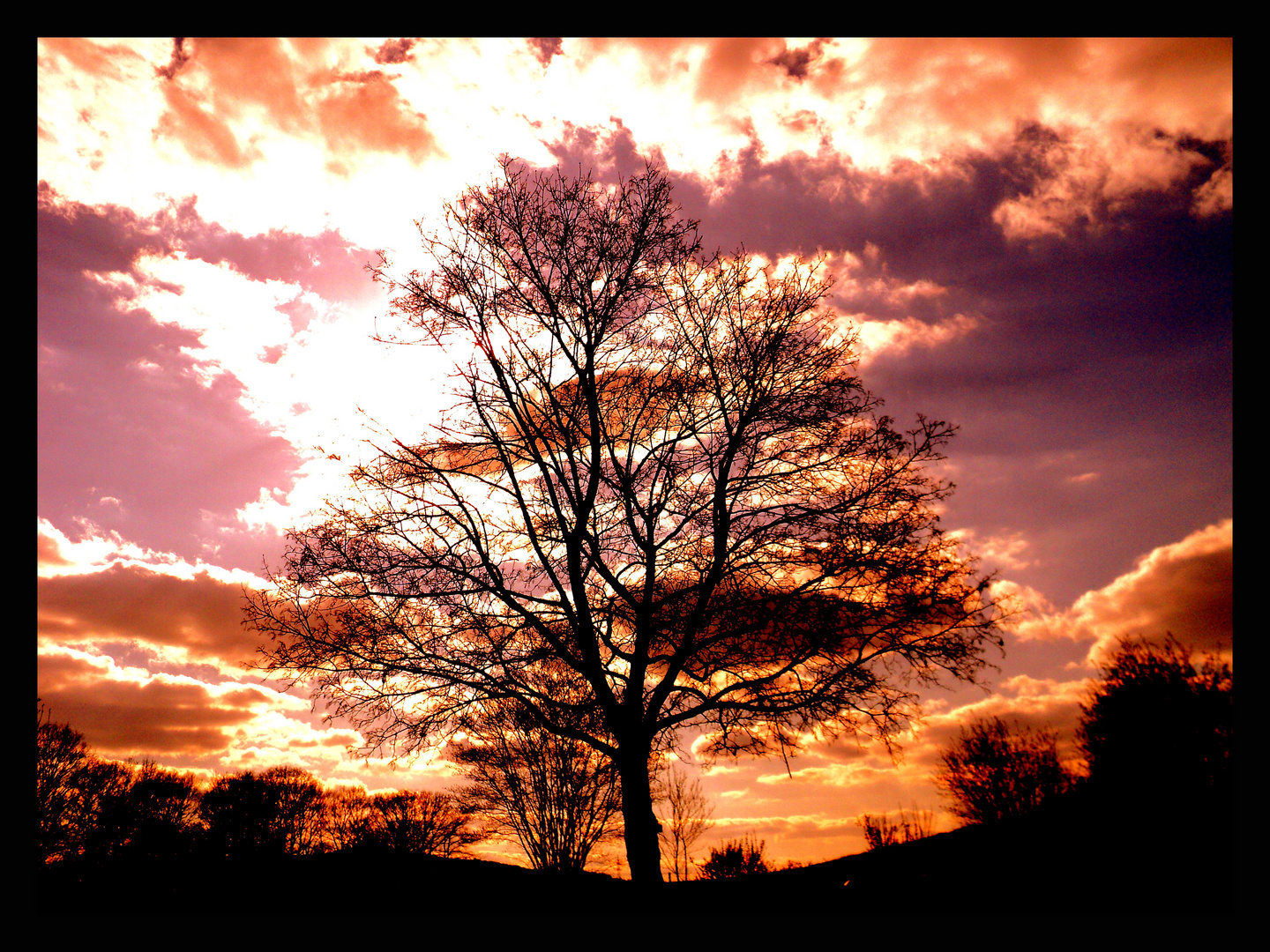 Baum über dem Friedhof