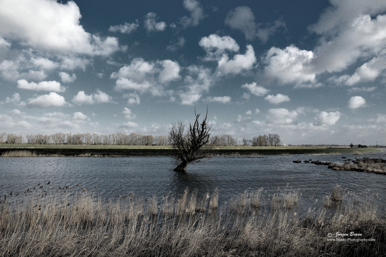 Baum überflutet