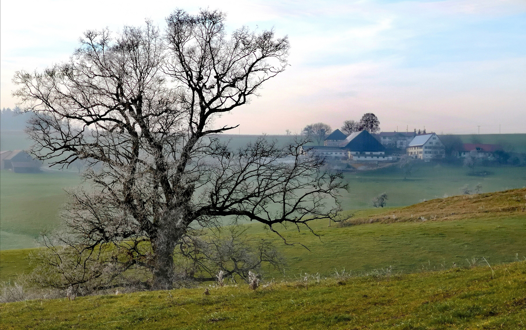 Baum und Bauern