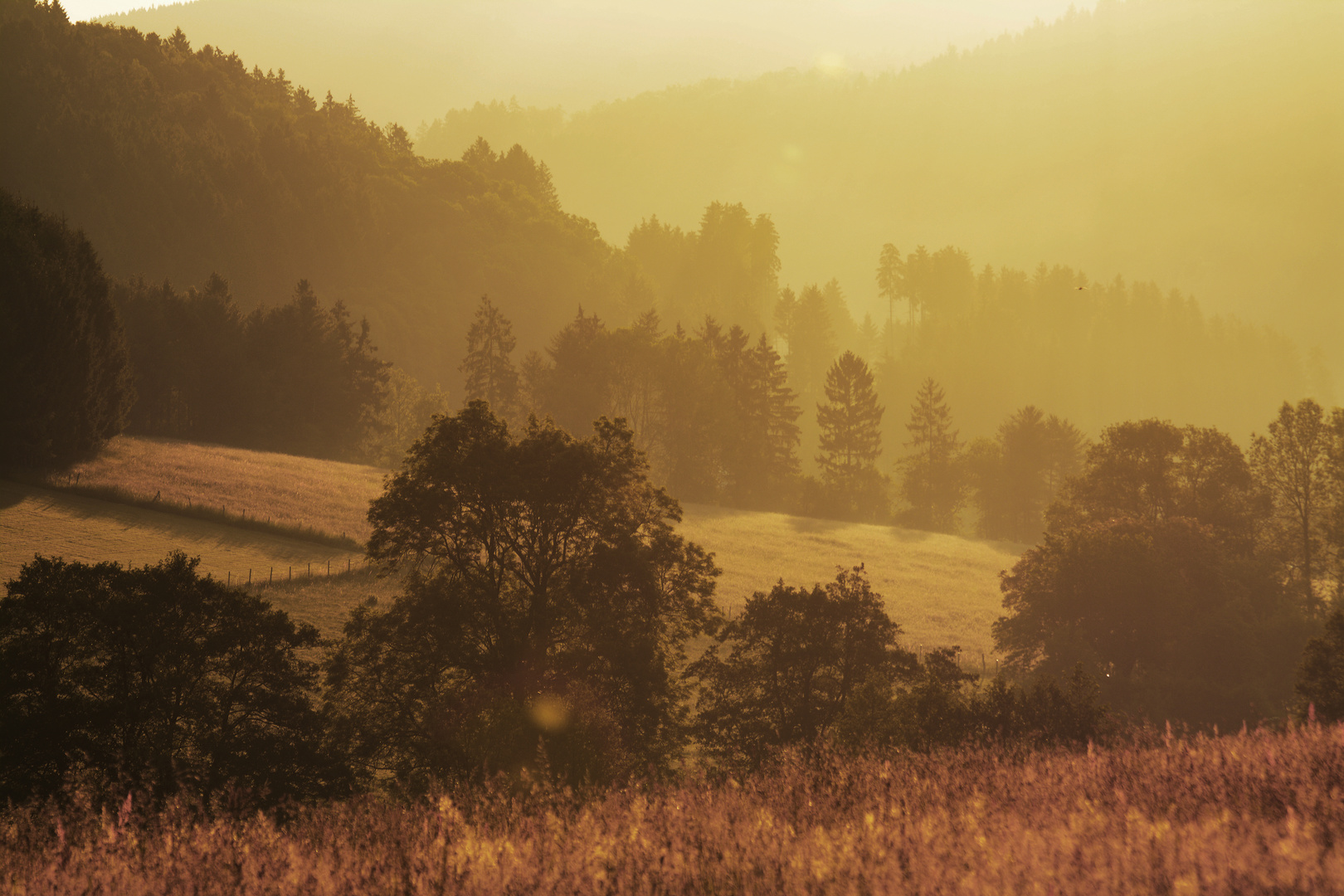 Baum- und Bergsilhouetten im Morgendunst im Gegenlicht der aufgehenden Sonne ...