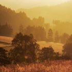 Baum- und Bergsilhouetten im Morgendunst im Gegenlicht der aufgehenden Sonne ...