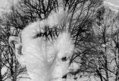 Baum und der Geist von Rudi Baier