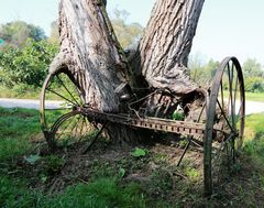 Baum und Eisen