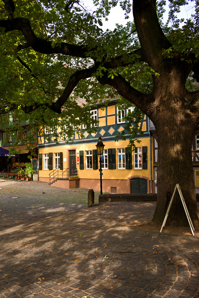 Baum und Fachwerk