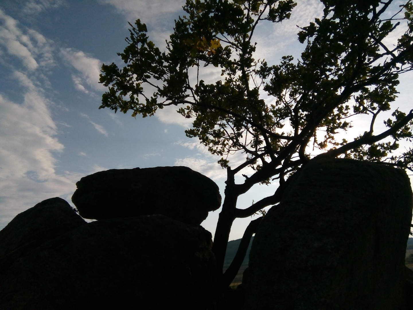 Baum und Felsen im Gegenlicht