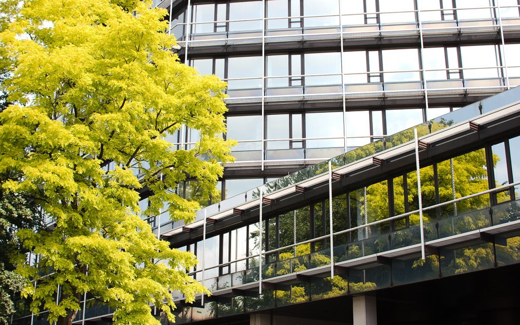 Baum und Glas