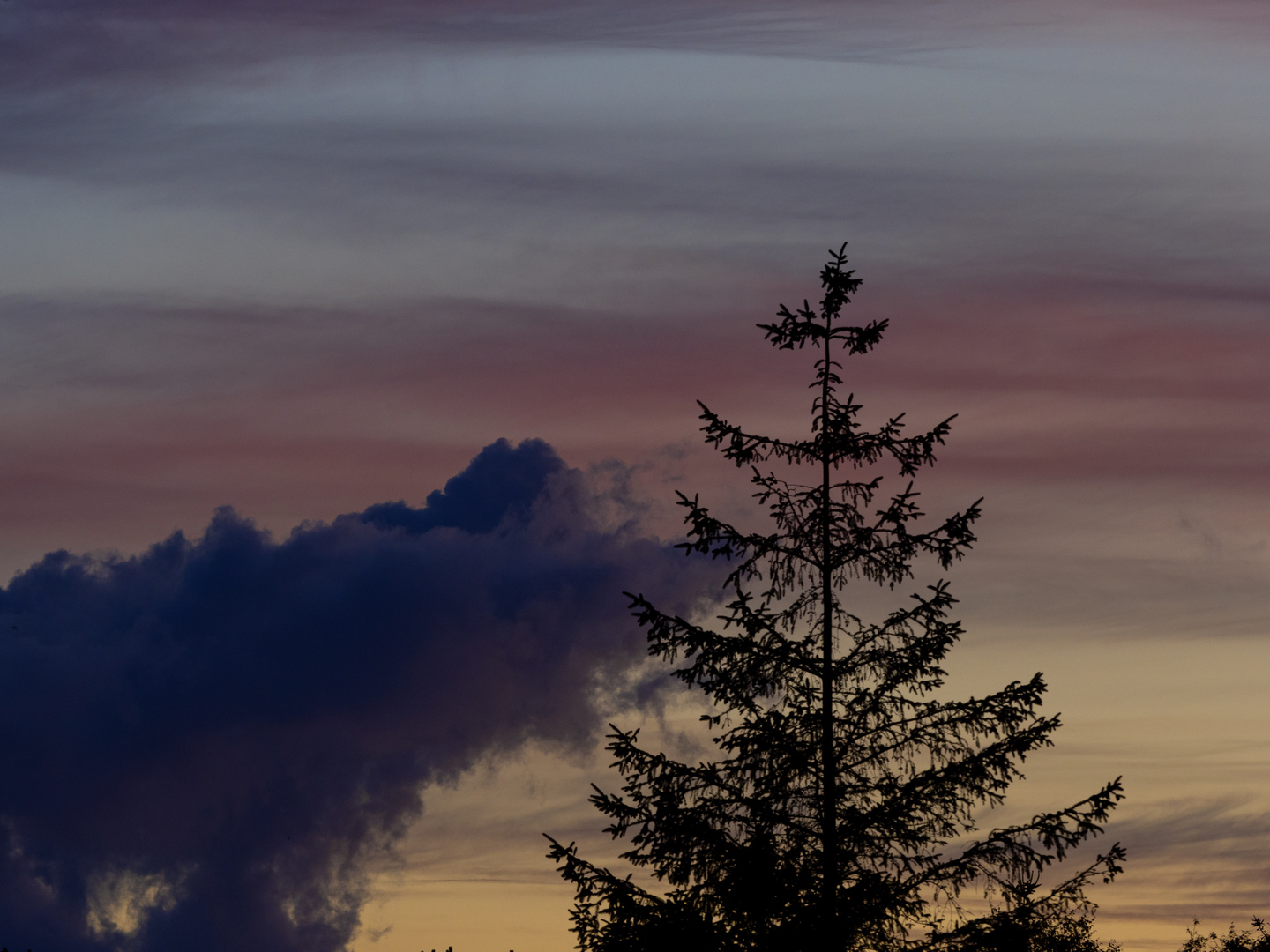 Baum und Himmel