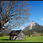 Baum und Hütte 2008