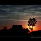 Baum und Hütte und Federwolken