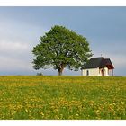 Baum und Kapelle