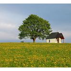 Baum und Kapelle