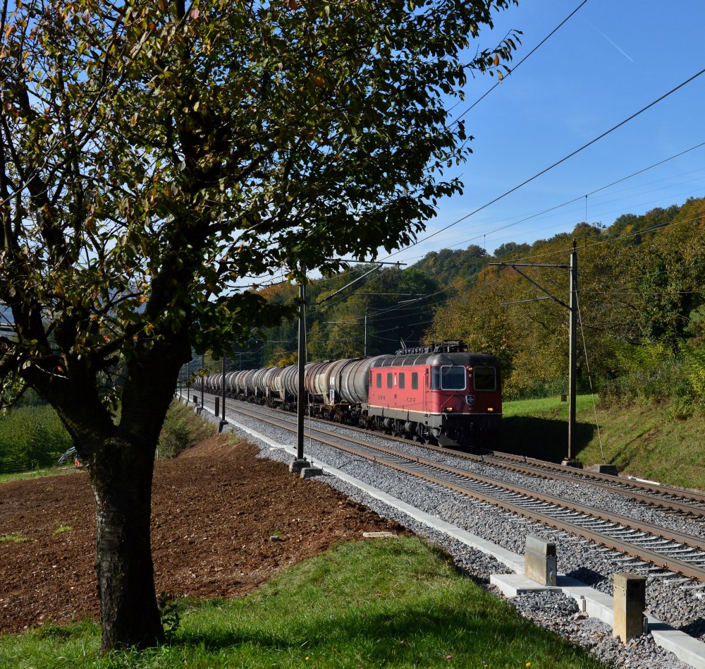 Baum und Kesselzug II