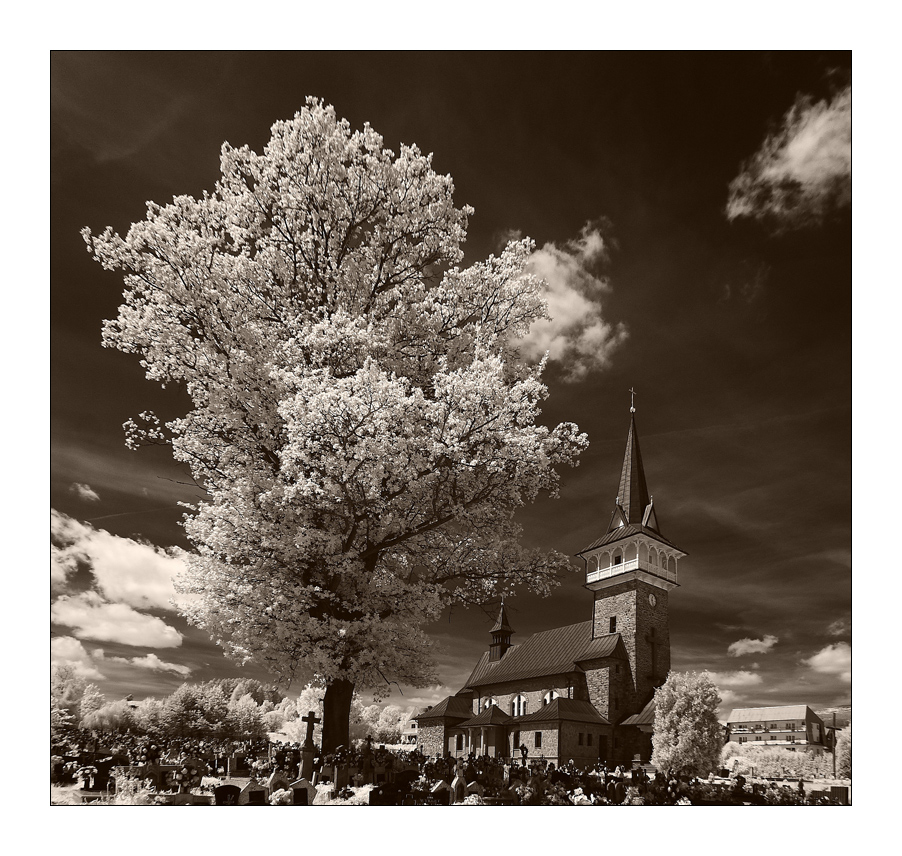 Baum und Kirche