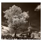 Baum und Kirche