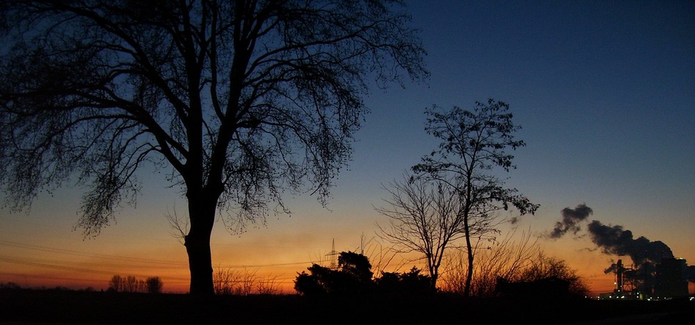 Baum und Kraftwerk vor Sonnenuntergang