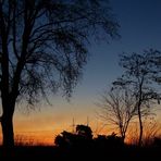 Baum und Kraftwerk vor Sonnenuntergang