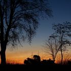 Baum und Kraftwerk vor Sonnenuntergang