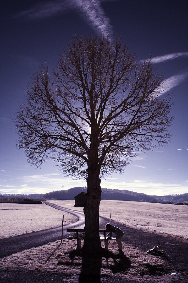 Baum und Mensch