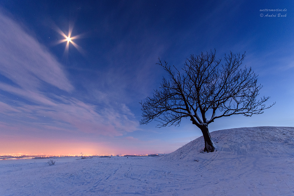 Baum und Mond