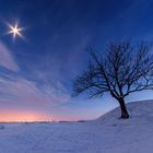 Baum und Mond