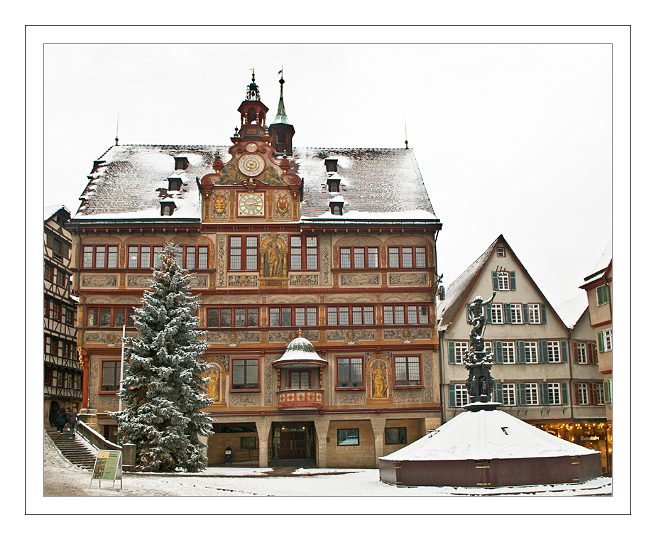 Baum-und-Rathaus-auf-Marktplatz