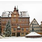 Baum-und-Rathaus-auf-Marktplatz