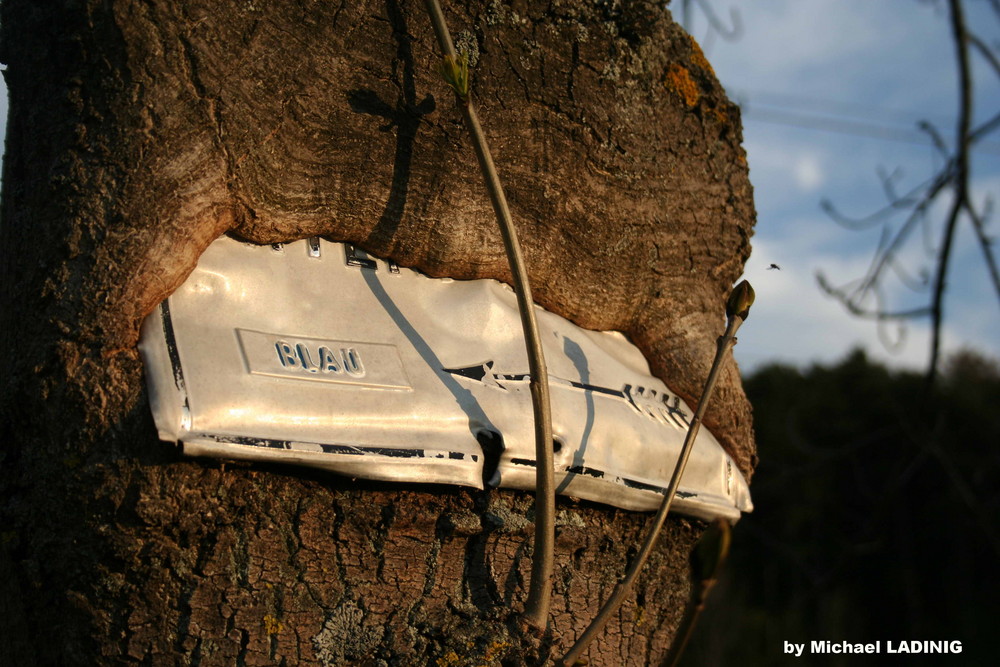 Baum und Schild