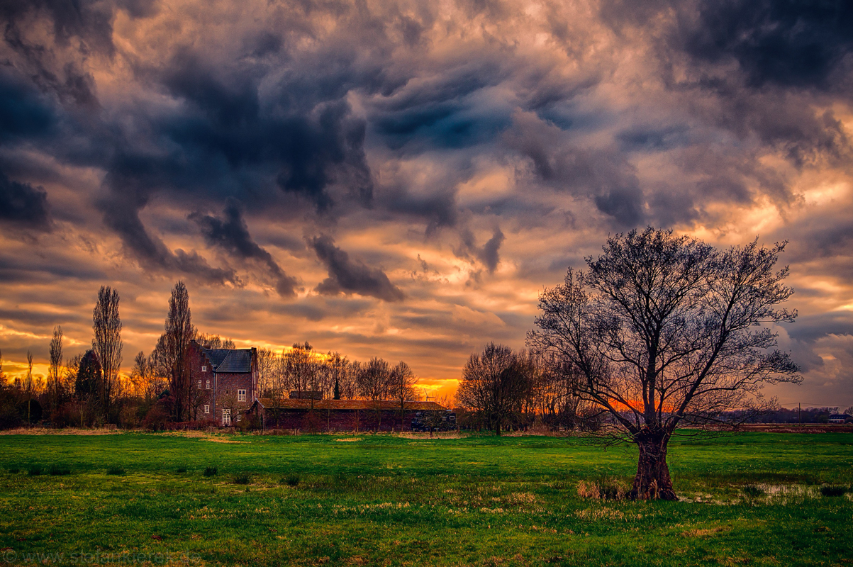 Baum und Schloss