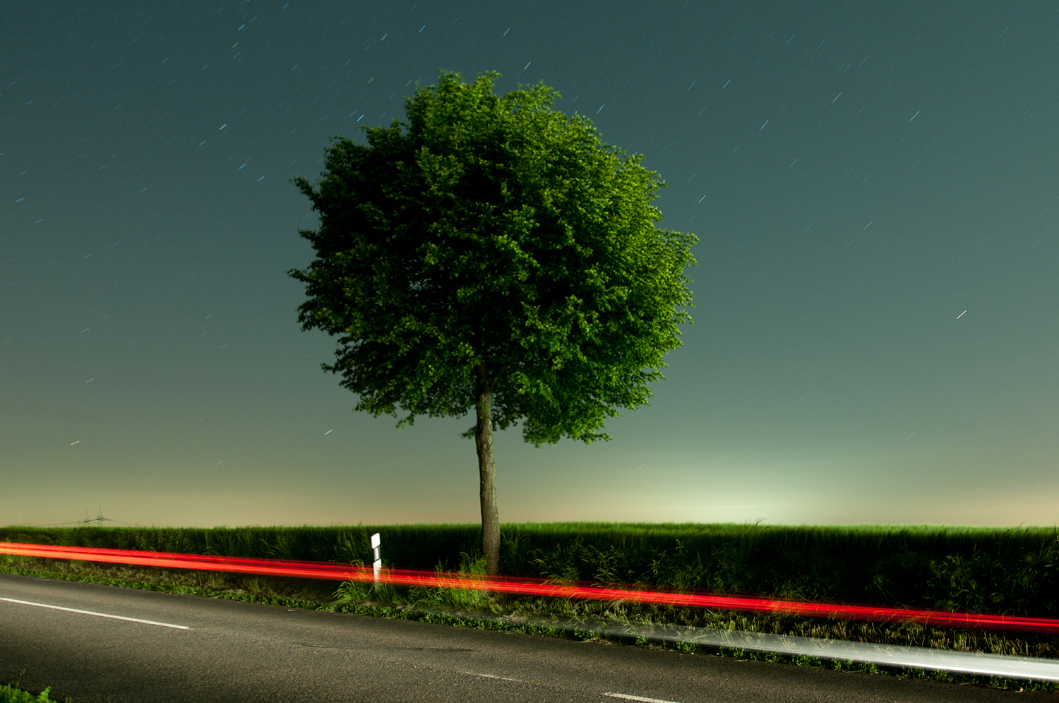 Baum und Strasse und Auto