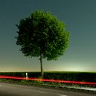 Baum und Strasse und Auto