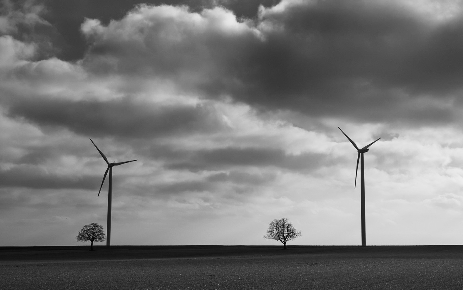 Baum und Windrad