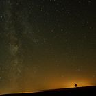 Baum unter Sternenhimmel