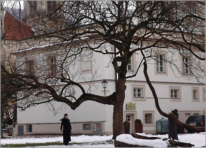 Baum verästelt