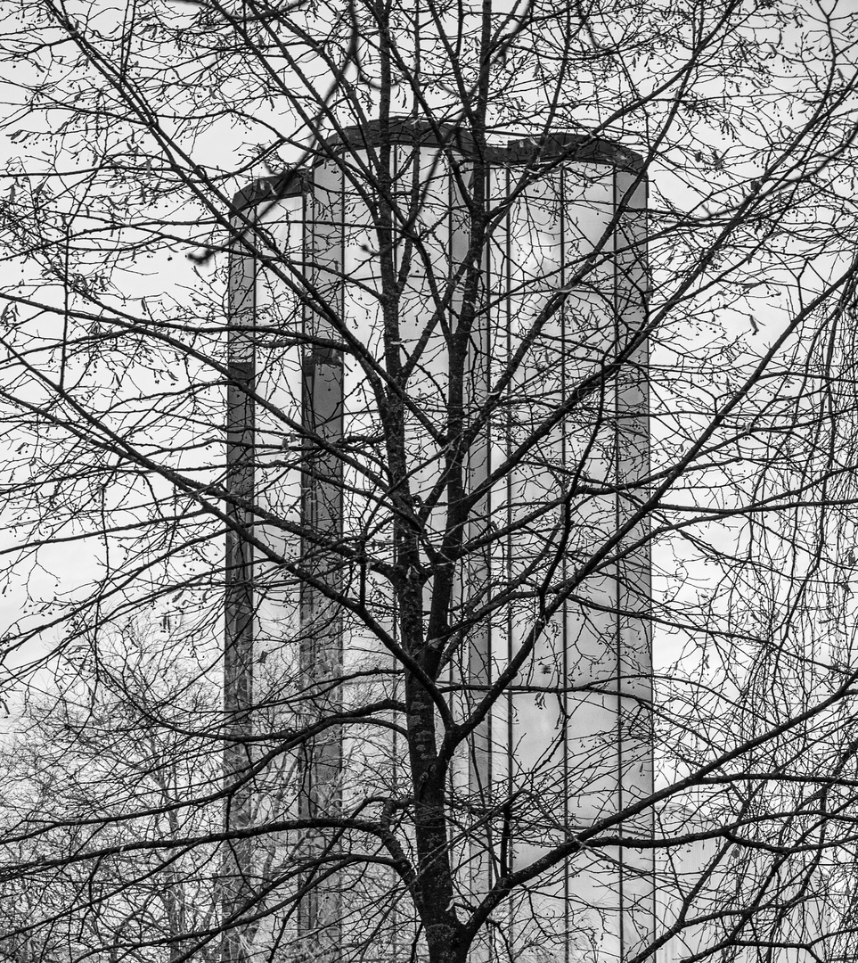 Baum vor Architektur