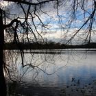 Baum vor See im Gegenlicht